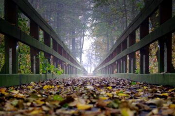 bridge, wooden, the fog-2936500.jpg